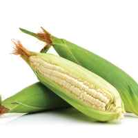 Frozen Corn Kernels