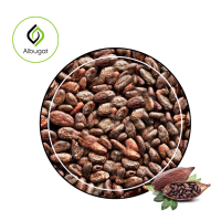 COCOA BEANS