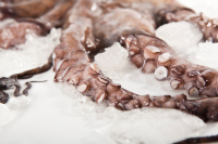 Whole Gutted Octopus 3kg