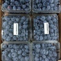 Blueberries