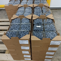 Blueberries
