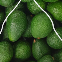 Avocado