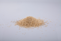 White Quinoa