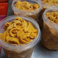 Sea urchin roe