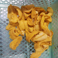 Sea urchin roe