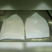 Frozen Giant Squid Fillet