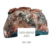 Frozen Raw Giant Squid Wings