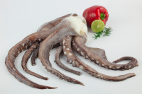 Frozen Giant Squid Tentacles (Bailarina Cut)