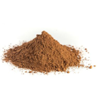 Natural Cocoa Powder 10/12% 