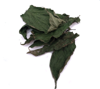 Cordoncillo Leaves 1 kilogram