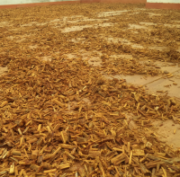 drying process of barks