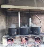 preparation of extract