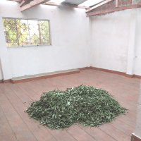 drying and gathering leaves