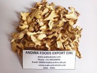 DRIED GINGER SLICE