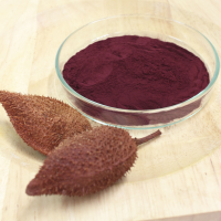 Bixin Powder