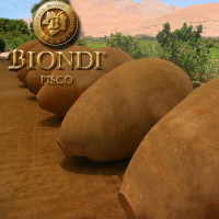 Biondi