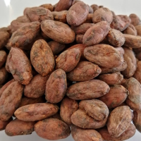 Cocoa beans