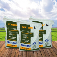 Fortibac si