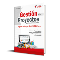 Texto Gestión de Proyectos Con Project, Excel y Visio 5ta Ed; 232 páginas, Autor Luis Angulo Aguirre