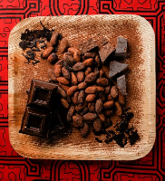  criollo cacao / cocoa beans