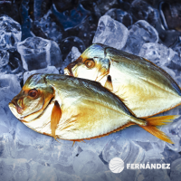 Frozen Moonfish Fernández or Khuwa