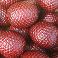 Water oil (Mauritia flexuosa).