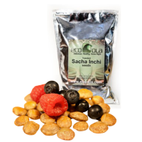 Toasted Sacha Inchi Seeds