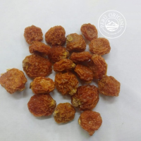 Goldenberry Dried 10kg to 20kg
