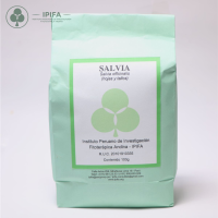 Salvia