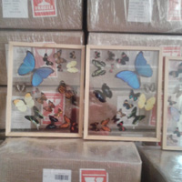 Butterfly frames packaging
