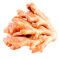 Organic Ginger