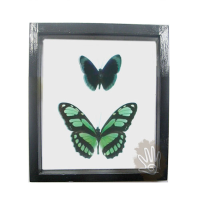 Butterfly Frame Couples