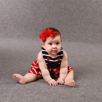 Ladybug Set