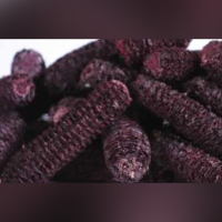 Purple Corn
