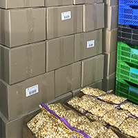 Products Boxes 