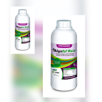  Liquid fertilizer added with 10% Algafol Raiz seaweed extract