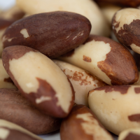 Brazil Nuts Type Medium 44lb Manutata
