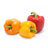 Fresh Bell and Mini Pepper