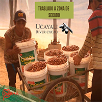 UCAYALI - PERU FARMERS