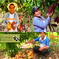 UCAYALI - PERU FARMERS