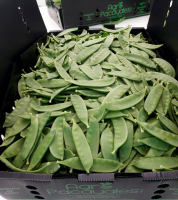 Fresh Snowpeas 4.5kg
