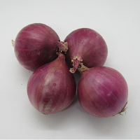 Onion