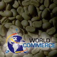 Coffee in Dry Beans Without Roasting or Decaffeination in Sacks of 46k