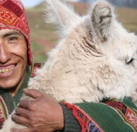 Peruvian Baby Alpaca Bag | Latin American Fashion Bags | Latin American Ethnic Fashion | Traditional Peruvian Accesories|