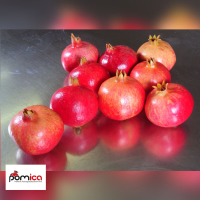 Fresh Pomegranate