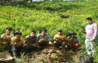 La Campiña Peru