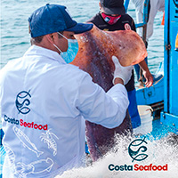 Costa Seafood