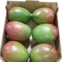 Fresh Kent Mango