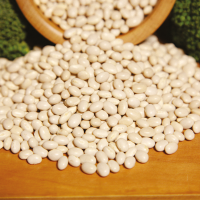 White Kidney Beans (Phaseolus Vulgaris L.) 