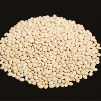 White Kidney Beans (Phaseolus Vulgaris L.) 